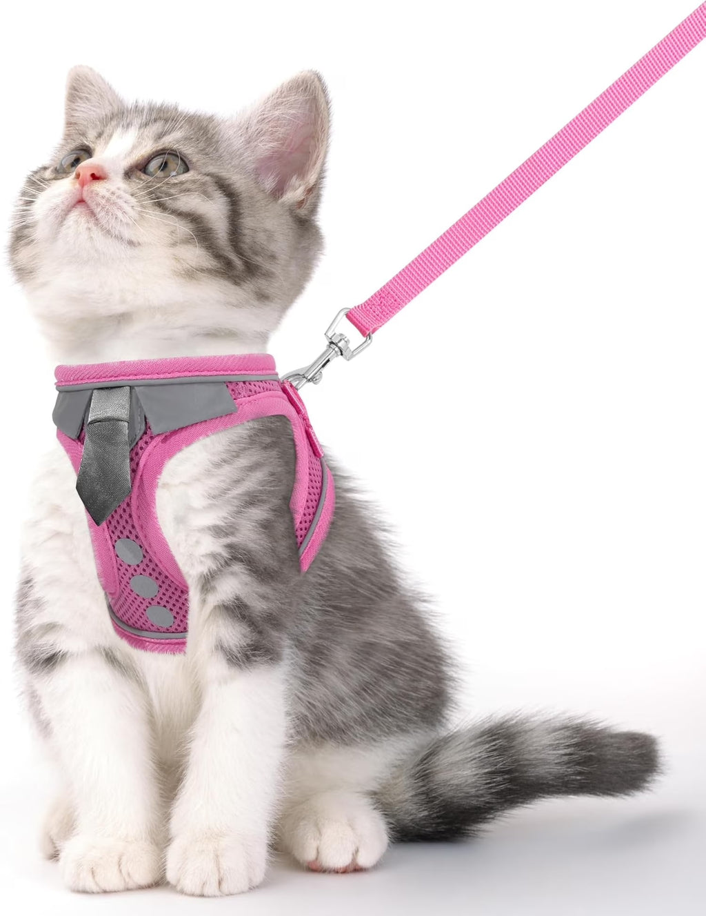 Escape Proof Harness and Leash Set for Cats and Small Pets | Adjustable Breathable Mesh Vest with Reflective Safety Strips | Secure Walking Harness for Kitten, Puppy, Bunny