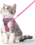 Escape Proof Harness and Leash Set for Cats and Small Pets | Adjustable Breathable Mesh Vest with Reflective Safety Strips | Secure Walking Harness for Kitten, Puppy, Bunny