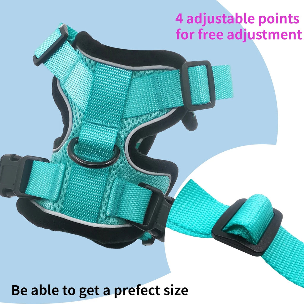Escape Proof Cat Harness and Leash Set for Walking | Adjustable Breathable Mesh Vest with Reflective Safety Details | Secure Outdoor Jacket for Adult Cats