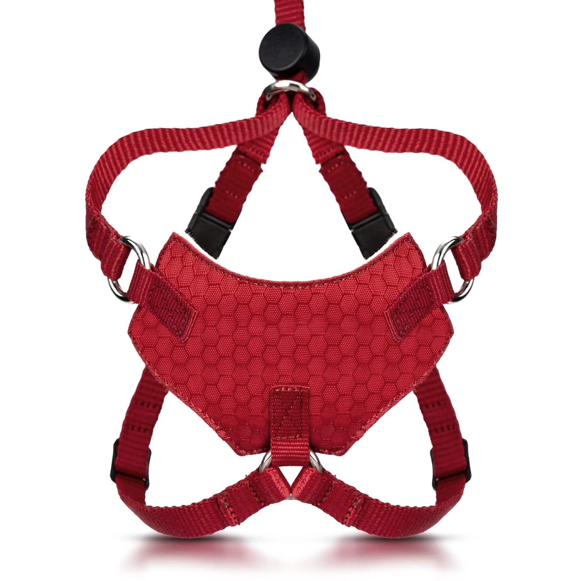 Escape Proof Cat Harness and Leash Set | Adjustable Lightweight Mesh Vest for Secure Walking and Outdoor Training | Comfortable Control Harness for Kittens and Adult Cats