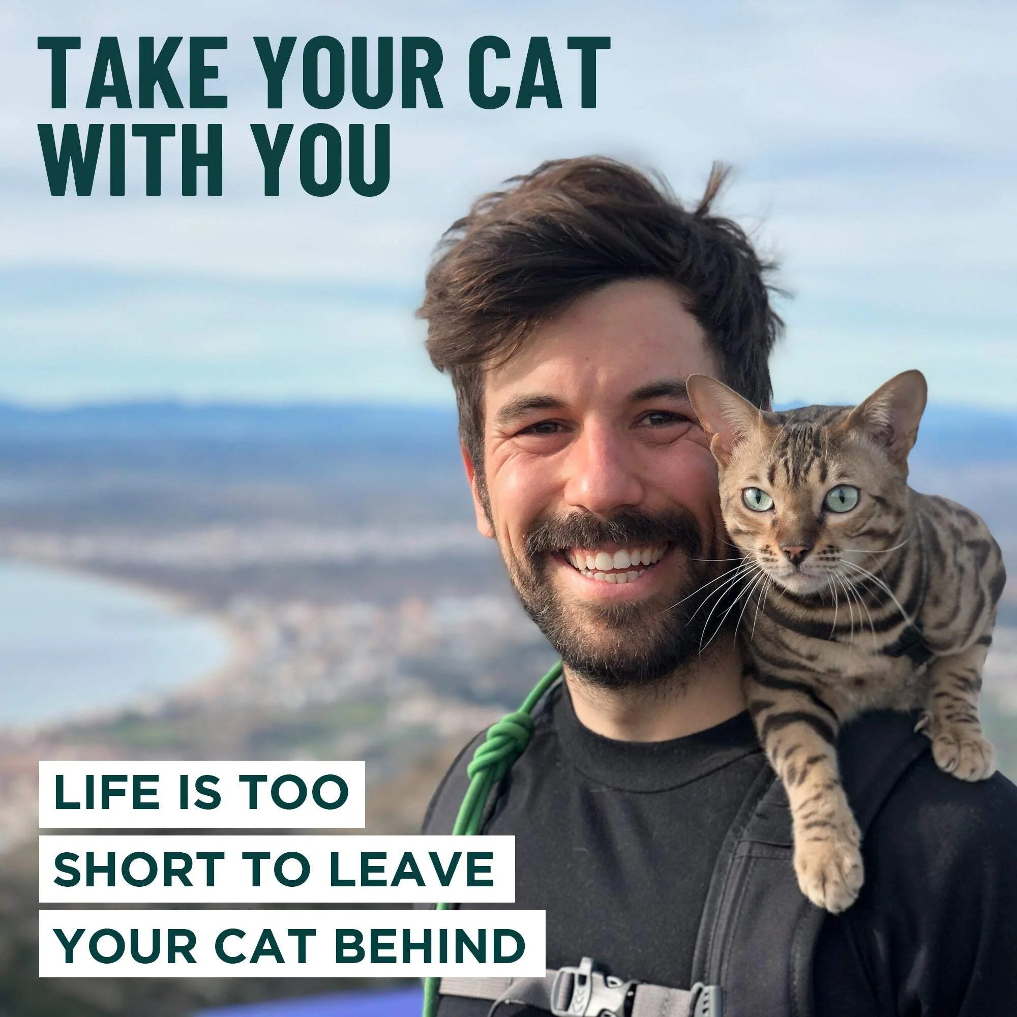 Escape Proof Cat Harness and Leash Set | Adjustable Lightweight Mesh Vest for Secure Walking and Outdoor Training | Comfortable Control Harness for Kittens and Adult Cats