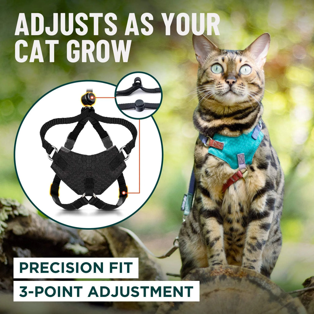 Escape Proof Cat Harness and Leash Set | Adjustable Lightweight Mesh Vest for Secure Walking and Outdoor Training | Comfortable Control Harness for Kittens and Adult Cats