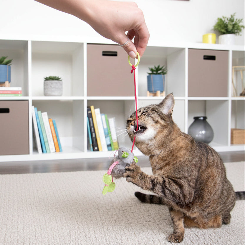Interactive Bungee Cat Toy with Bouncy Plush Mouse Elastic Teaser for Indoor Exercise and Hunting Instincts