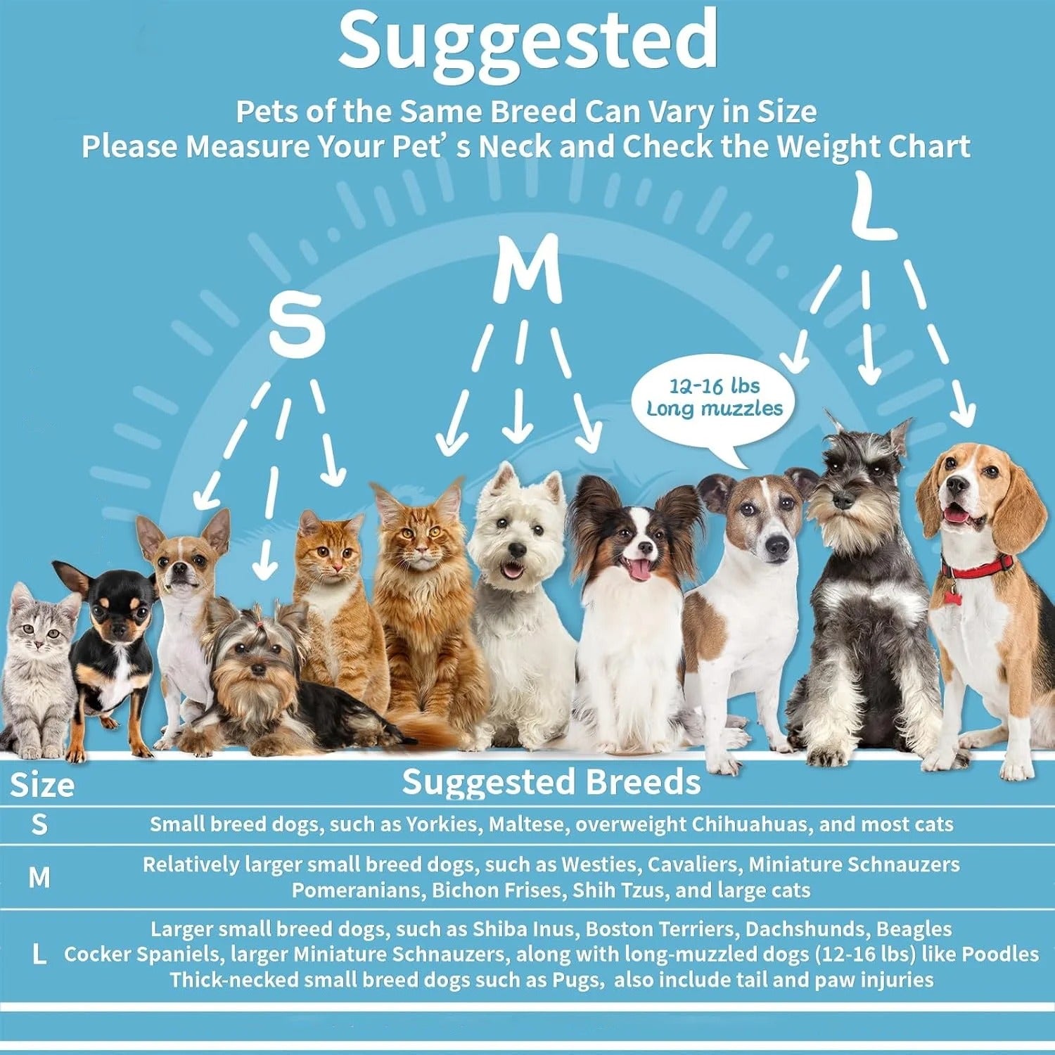 Adjustable Soft Dog & Cat Recovery Collar, Post-Surgery E-Collar for Small Pets, Anti-Lick Biting Healing Cone in Blue, Comfortable Pet Protective Collar