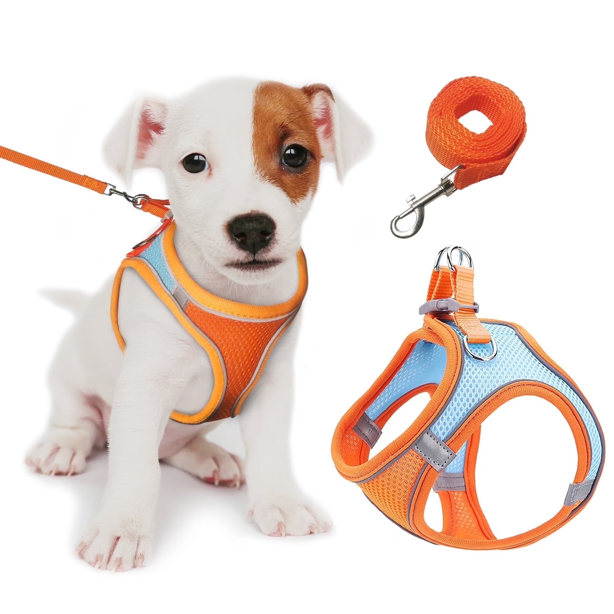 Adjustable No-Pull Dog and Cat Harness with Leash, Soft Padded Small Pet Harness for Puppies and Cats, Reflective Safety Straps for Secure Outdoor Walks