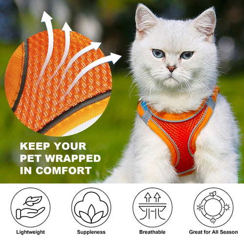 Adjustable No-Pull Dog and Cat Harness with Leash, Soft Padded Small Pet Harness for Puppies and Cats, Reflective Safety Straps for Secure Outdoor Walks