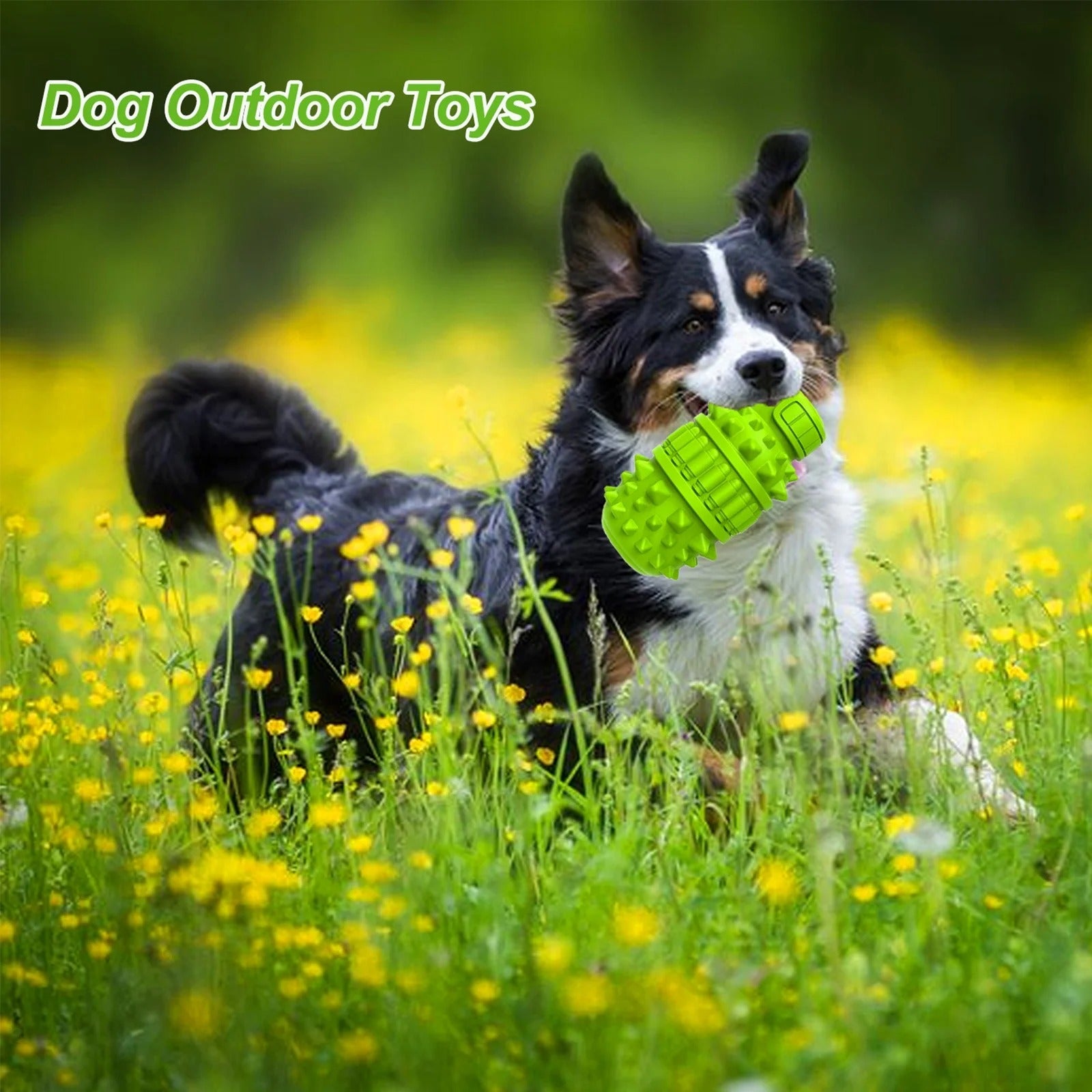 Durable Squeaky Dog Chew Toy for Aggressive Chewers, Tough Natural Rubber Interactive Chew Toy for Large and Medium Dogs, Teeth Grinding & Mental Stimulation