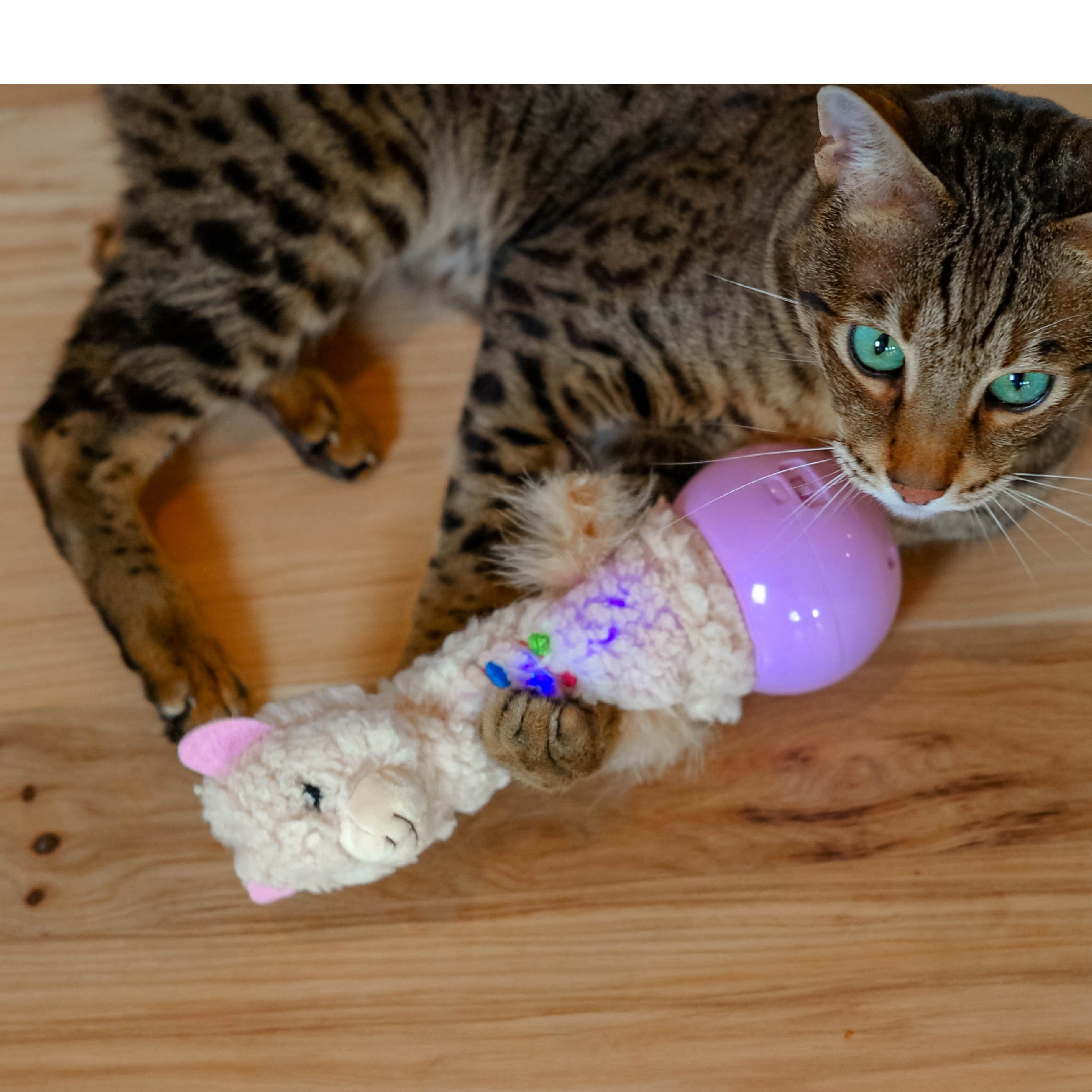 Interactive Electronic Dancing Llama Cat Toy with Motion, Lights, Music and Feather Teaser, Battery-Powered Plush Toy for Indoor Cats and Kittens